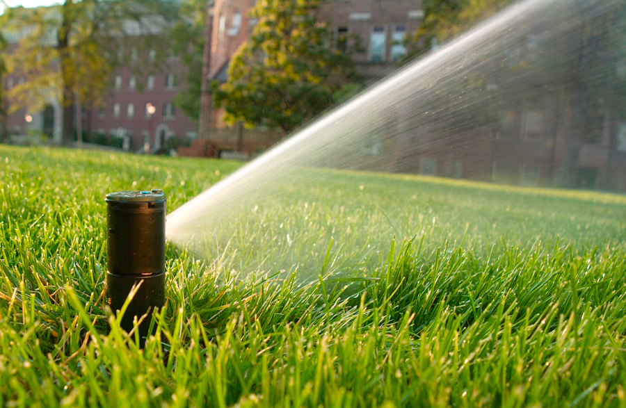 close up of a lawn sprinkler in action