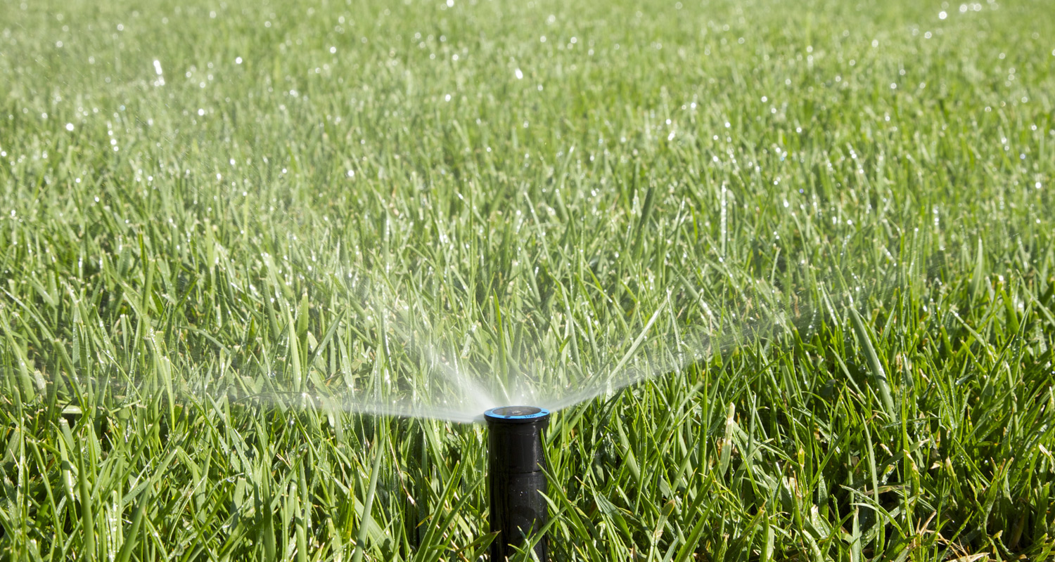 lawn sprinkler