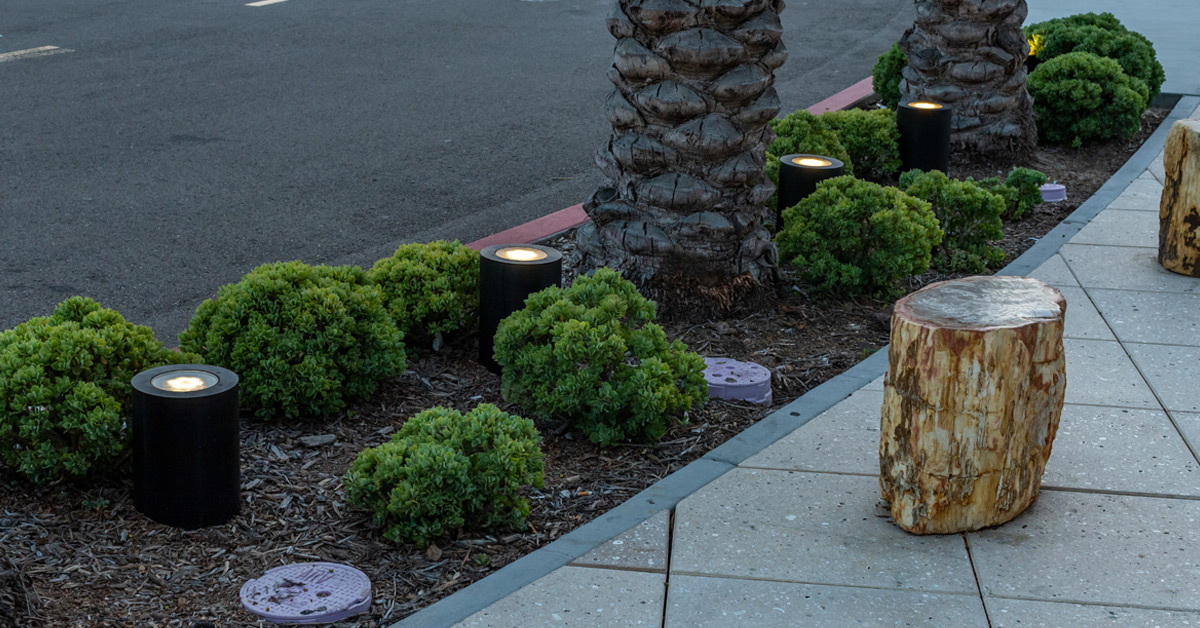 lighting installations on public sidewalk