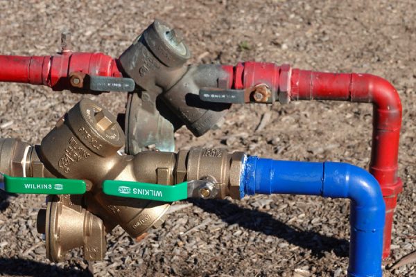 Wilkins backflow