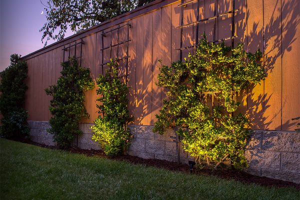 lighting on side of commercial property