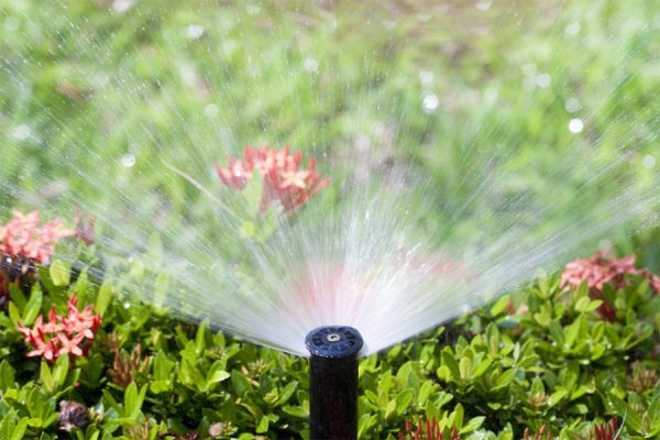lawn sprinkler