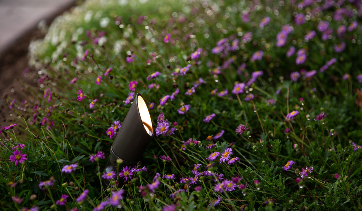 flowerbed lighting of commercial property